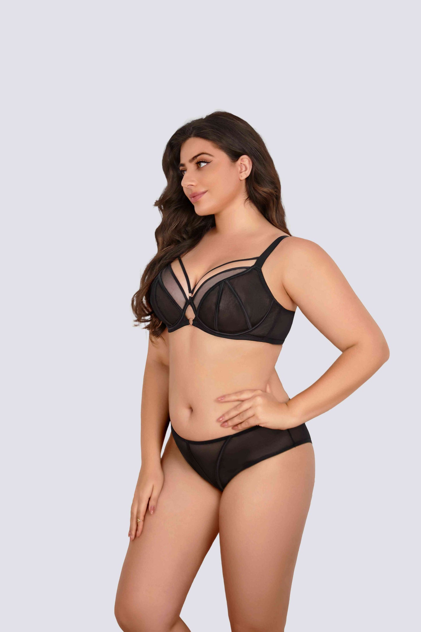 mesh underwire bra set providing lifted support for plus size full busts